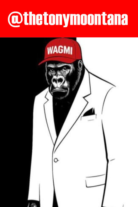 $SHIB &amp; $WAGMI Community &amp; CTO Lead